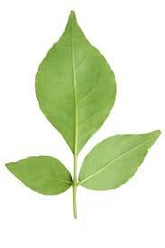 Bell Patra - 1- 100 % Natural & Farm Fresh Herbs